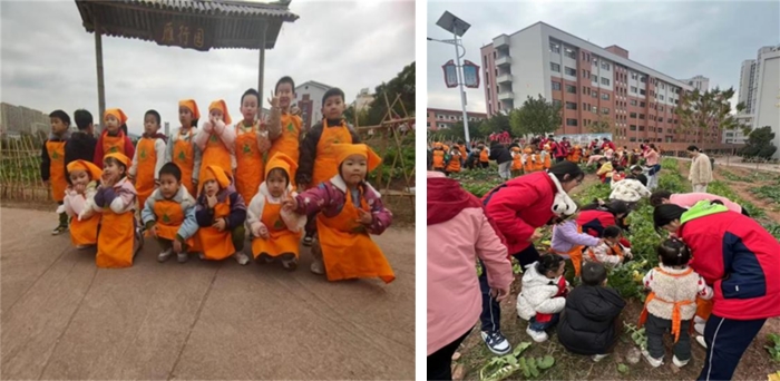 1735608506626445.jpg 3.jpg